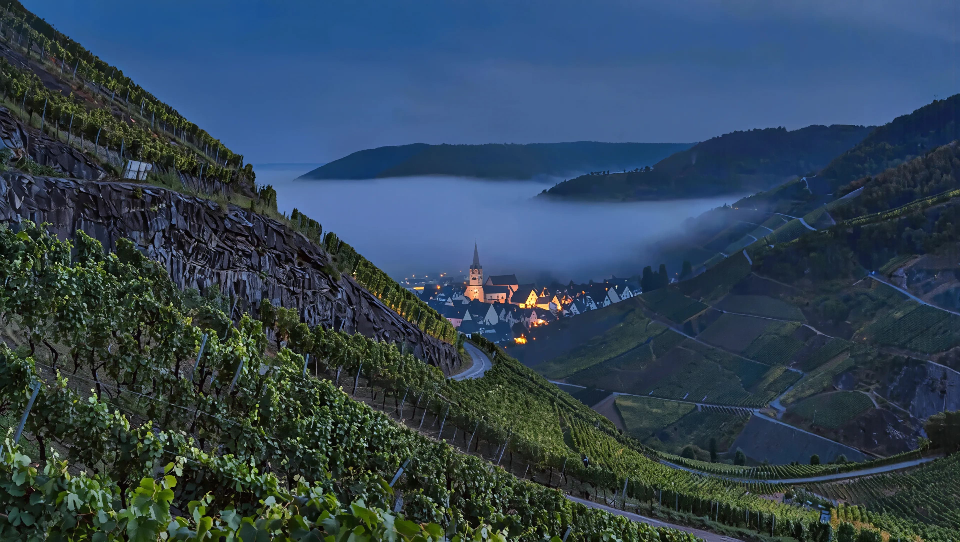Blick über die Weinberge im Ahrtal am frühen Morgen